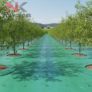 Rollo de Polietileno para Mulching Agrícola de Grado Profesional para Granjas Comerciales, Invernaderos y Viveros - Product Image 5