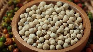 พริกไทยขาวอินเดียเกรดส่งออก ฤดูกาลใหม่ คุณภาพพรีเมียม กลิ่นหอมธรรมชาติ แห้งสนิท อายุการเก็บรักษา 24 เดือน สำหรับตลาดโลก - Product Image 5
