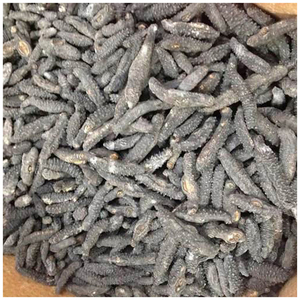 precio del pepino de mar seco - Product Image 2