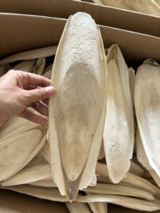 Hueso de Sepia Premium de 4-7 Pulgadas para Loros y Aves, Suplemento Natural de Calcio, Blanqueado, Venta al Por Mayor, Proveedor de Vietnam - Product Image 4