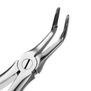 Forceps d'extraction dentaire à dents sécantes pour racines inférieures 46L, en acier inoxydable, instrument chirurgical pour l'élimination des racines, outil réutilisable pour la chirurgie buccale - Product Image 4