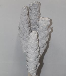 Pigne naturelle botanique longue pour décoration, pigne décorative blanche comme neige pour bouquet, artisanat, cadeau - Product Image 2
