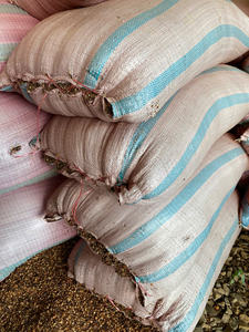 Emballage standard pour balle de café en vrac, sacs de 50 kg, expédition mondiale, service OEM disponible - Product Image 5