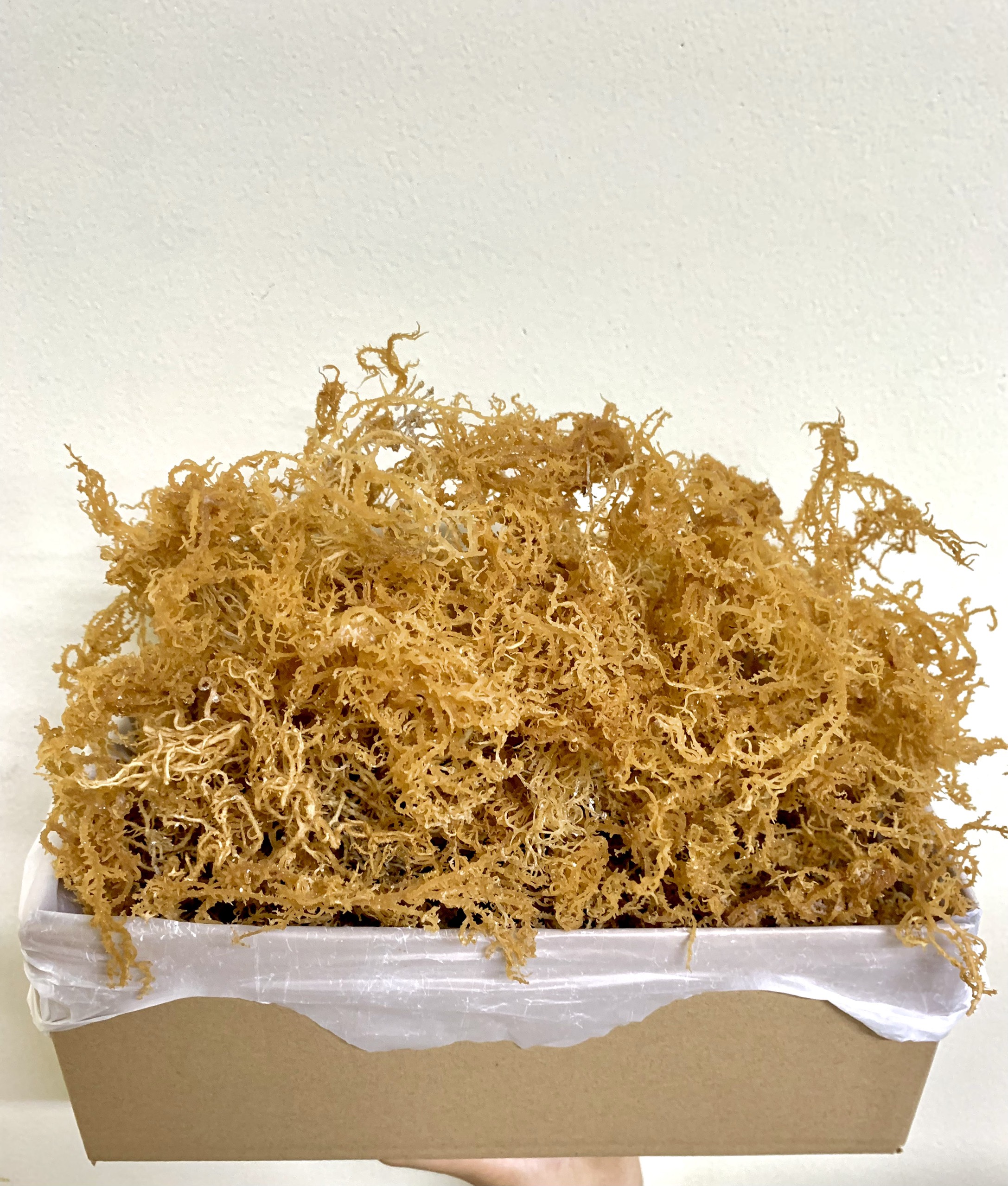 Ms Lucy's отличная цена на сушеный умыватель (морская водоросль), подходит для тела