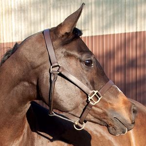 Wholesale Manufacturer Leather Horse Fancy Stitched <b>Rope</b> Hybrid Halter Horse Equipment Horse Leather Halter - Product Image 1