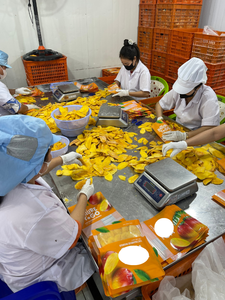 Tranches de mangue séchées moelleuses 3% de sucre Douceur naturelle Emballage en vrac de 10 kg Sous vide Durée de conservation de 2 ans pour le marché russe - Caryln - Product Image 4