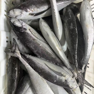 <span class=keywords><strong>ขาย</strong></span>ส่งปลาทอมสันแช่แข็ง ขนาด 25 ซม.+ ตัวเต็ม รา<span class=keywords><strong>คา</strong></span><span class=keywords><strong>ถูก</strong></span> - Product Image 1