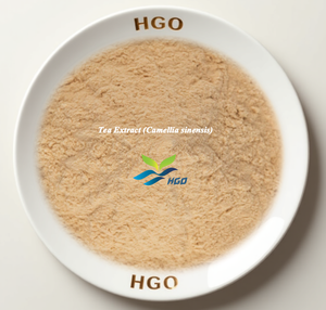 Extrait de thé pur naturel (Camellia sinensis) de qualité alimentaire, 65 % de saponines de thé standardisées, fourni directement par l'usine HGO - Product Image 1