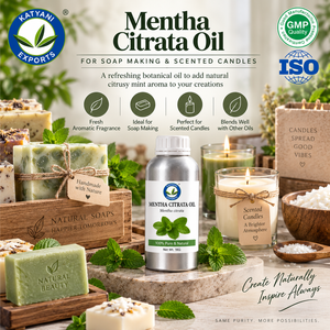 Huile essentielle de Mentha Citrata 2 KG pour la fabrication de savons et de bougies parfumées, ingrédient aromatique naturel - Du Madhya Pradesh - Product Image 4