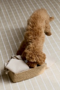 Seagrass <b>basket</b> divided into 2 compartments Handmade <b>Storage</b> <b>Basket</b> Wholesale eco-friendly Made in Vietnam - Product Image 6