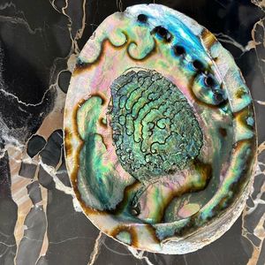 Coquilles d'ormeaux ovales naturelles brutes pour la fabrication de bijoux artisanaux, fournitures d'artisanat, décoration intérieure, projets artistiques, vente en gros - Product Image 3