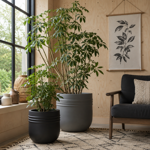 Juego de 5 Macetas Modernas para Plantas, de Color Negro, Lisas, Ligeras, para Interiores y Exteriores, para Jardín, Balcón, Elegantes, de 30-60 cm - Product Image 2