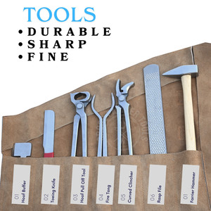 Kit de Herramientas de Herrador con Estuche, que incluye Extractor de Zapatas, Alicates Curvos para Clavos, Pinzas para Llamaras, Cuchillo para Clavos, Lima, Pulidor y Martillo de Herrador - Product Image 3