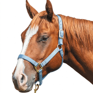 Cabestro de nailon al por mayor para caballo, ajustable, acolchado de neopreno, cómodo y duradero, para carreras y equitación - Product Image 3