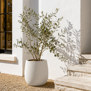 Pot de jardin décoratif moderne en fibre de verre, blanc, rond, côtelé, de haute qualité et luxueux, pour intérieur et extérieur, 3 tailles - Product Image 2