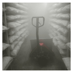 Carne de Coco Congelada IQF de Alta Calidad, en Rodajas y Cubos, Dulce, Suave y Tierna, de Vietnam - Product Image 2