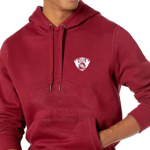 Hoodies pour hommes en coton 100% fabriqués au Pakistan, service OEM, vente en gros, prix bas, best-sellers - Product Image 4