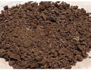 Estiércol de vaca estándar con fertilizantes orgánicos a granel para uso agrícola, Indigo Organics, 24 meses de vida útil, procedente de la India. - Product Image 6
