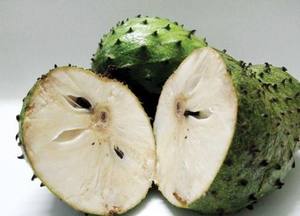 Pulpa de Guanábana congelada 100% Graviola natural de Vietnam - Product Image 2