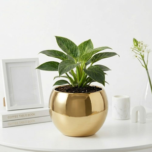 Brass Decorative Planter Pot Hammered Modern Brass Flower Pot Hand Carved Circular Design Glam Indoor <b>Desk</b> Planter Pot - Product Image 4
