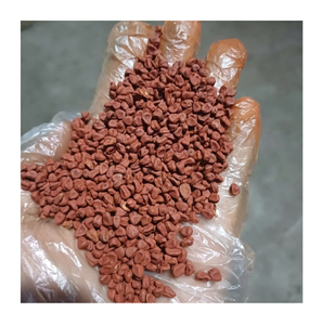 Fragrant Dried Annatto Seeds for Oil Extraction Marinade <b>Blends</b> and Food Service Preparation - Product Image 1