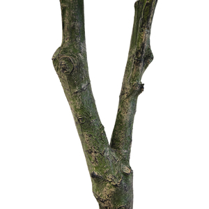 Grand arbre artificiel <span class=keywords><strong>en</strong></span> figuier à feuilles de violon, 120 cm, <span class=keywords><strong>en</strong></span> <span class=keywords><strong>pot</strong></span>, plante artificielle réaliste, ficus lyrata, décoration intérieure, bureau, Noël - Product Image 4