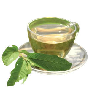 ใบฝรั่งอบแห้งพรีเมียม ใบเต็มแผ่น ขายส่งราคาถูก อบแห้งด้วยแสงแดด บรรจุภัณฑ์สุญญากาศ จากซัพพลายเออร์เวียดนาม - Product Image 3