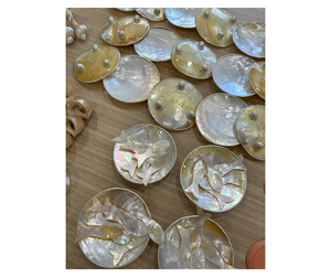 High Quality Natural Seashell <b>Spoon</b> Direct From Vietnam Supplier - Shell Utensil For Serving Seafood - Product Image 4