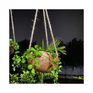 Maceta de Coco Hecha a Mano, Ideal para Cultivar Plantas y Agregar un Toque Rústico a tu Espacio, Maceta Tropical de Coco para Cultivos Orgánicos - Product Image 1
