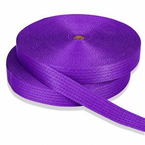 2026 Hot Sale Provina Purple 50mm Eco-Friendly <b>100</b>% <b>Polyester</b> Webbing Single Strap Backpack High Tenacity Ring Spun Woven Raw - Product Image 1