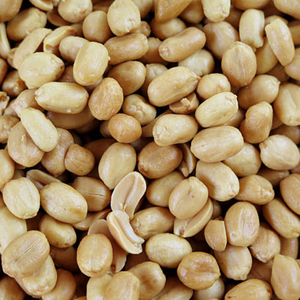 Snack d'arachides indiennes séchées brutes de qualité supérieure à forte piquanteur pour les programmes internationaux d'approvisionnement en épices - Product Image 5