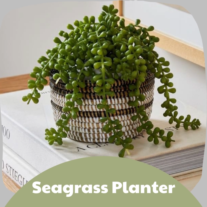 Raffia Pots for Plants Decorative Hanging Basket Planter Sea Grass Planter  Straw Plant Pot Hangers