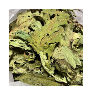 Feuilles de papaye séchées de qualité supérieure, 100% thé naturel pur coupé dans les fermes du Vietnam, papaye séchée pour une boisson apaisante à base de plantes - Product Image 5