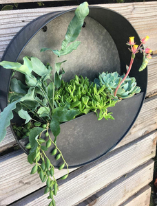 Modern round Hanging Wall <b>Vase</b> Planter Flower Pot for Home Decor & Garden Wall Accent - Product Image 2