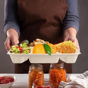 New Biodegradable Sugarcane Serving Plate for Combo Lunch and <b>Snack</b> Distribution 6 Compartment Meal Plates Cafeterias and Hotels - Product Image 1