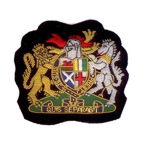 เสื้อเบลเซอร์ปักลายด้วยแถบไฟสำหรับทหารราบสีเงิน - Product Image 5