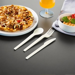 Fourchette jetable biodégradable moderne de 155 mm de qualité export pour sandwichs, fruits, collations, repas, usage quotidien et restauration - Product Image 3