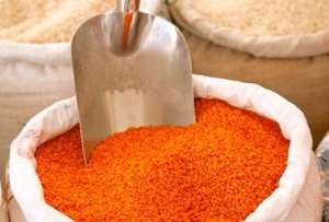 Lentejas Chana Dal Enteras Secas Naturales AD, Paquete a Granel de 25 kg, Nishtha Exports - Product Image 4