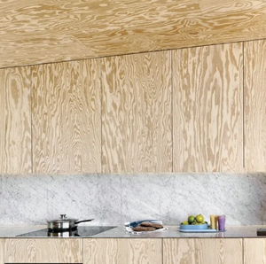 Contreplaqué de pin ODM de haute qualité, antidérapant, écologique, E0, pour l'intérieur, PREMIÈRE CLASSE, 9-12-15-18 mm, usine du Vietnam, meubles - Product Image 2