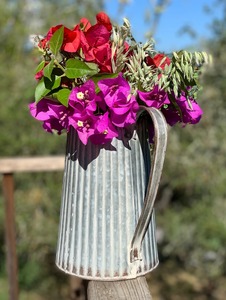 Maceta Galvanizada Estilo Jarra, Maceta de Metal Rústica para Decoración de Hogar, Jardín, Balcón y Patio, Pieza Decorativa Multiusos - Product Image 4