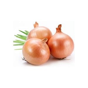 Oignons jaunes frais, emballage de 15 kg, prix avantageux, taille 9 cm et plus - Product Image 2