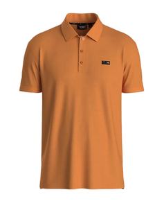 Venta al por mayor Ralph 100% algodón Polo camisa de los hombres de alta calidad personalizado tamaño Logo Multi colores sólidos opciones bajo MOQ Bangladesh - Product Image 3