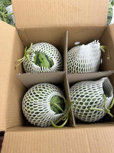 แตงโมเวียดนามไร้เมล็ด – รสหวาน น้ำตาลสูง สดใหม่ เหมาะสำหรับผู้จัดจำหน่าย - Product Image 2