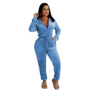 Combinaison en polaire bleue pour femme, longueur intégrale, décontractée, col rabattu, coupe ample, couleur unie, à porter toute l'année - Product Image 1