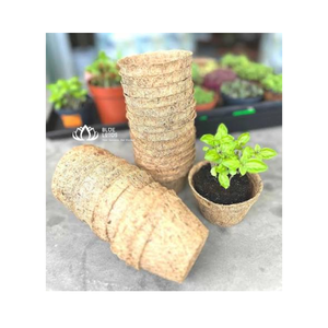 Maceta de Fibra de Coco Natural PREMIUM, Contenedor de Fibra de Coco para Cultivo de Plantas, Suministro y Exportación de Plántulas - Product Image 1