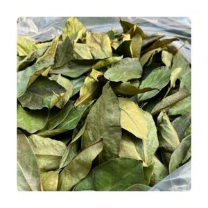 Feuilles de corossol séchées disponibles pour infusion de thé en vrac pratique et approvisionnement en gros pour les distributeurs de boissons - Product Image 5