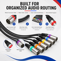 Câble Combo XLR Professionnel Ice Combo, Câble de Signal Powercon DMX512 pour Équipement d'Éclairage Scénique, Assemblage de Câbles Personnalisés OEM ODM