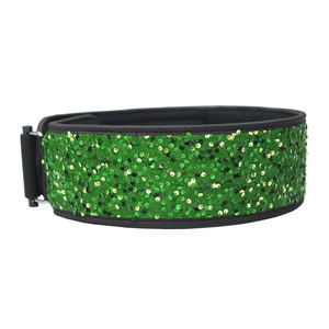 Ceinture de soutien lombaire verte à paillettes pour haltérophilie, en nylon, avec boucle réglable, unisexe, pour entraînement de force et fitness - Product Image 2