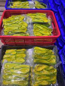 เนื้ออะโวคาโดแช่แข็งจากเวียดนาม สำหรับทำซอสครีม น้ำผสมเครื่องดื่ม ไส้ขนมหวาน เมนูจัดเลี้ยง อาหารร้านอาหารเชิงพาณิชย์ - Product Image 4