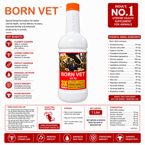 Tonique utérin à base de plantes BornVet pour bovins, buffles, moutons et chèvres, pour les soins post-accouchement du placenta et de l'utérus |   Emballage : 1 litre - Product Image 4